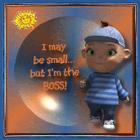 The Big boss