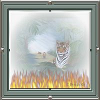 Fire Frame
