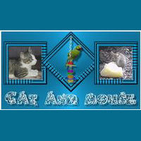 Cat&mouse_
