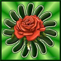 Bloemen frame