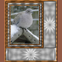 Frame Trudy