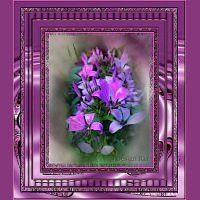 Flower frame