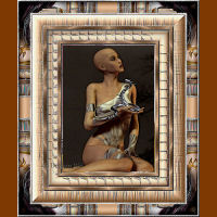Frame Monica