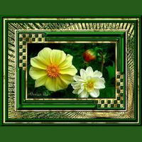 Frame Astrid