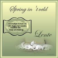 Lente